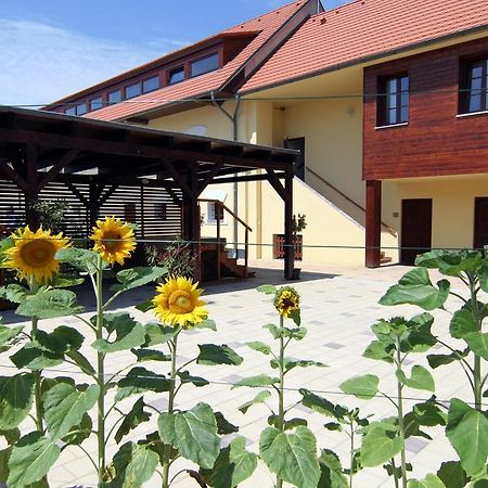 Hotel Pod Sluncem Třebíz Εξωτερικό φωτογραφία